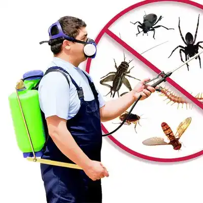 pest control Kinston